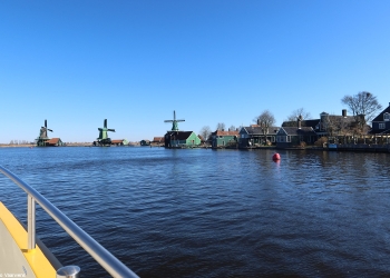 Sikko 131